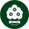 Flor